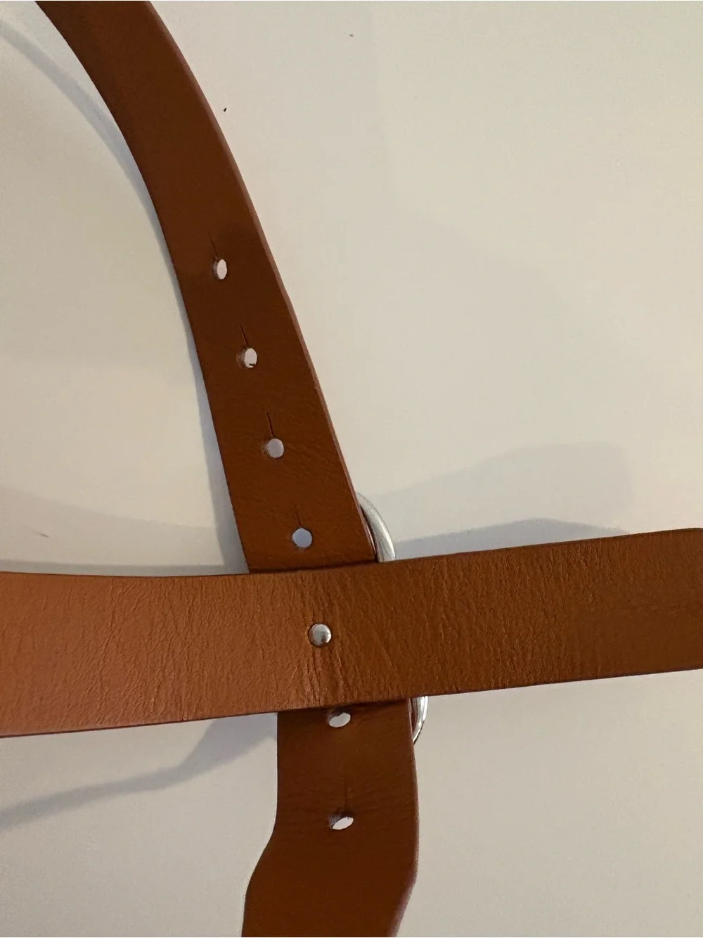 Lizzie Fortunato || Wide Georgia Belt in Tan Silver Tone Buckle